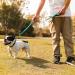 Vivaglory Traffic Handle Dog Leash - 1.2m Reflective Leash with 2 Padded Handles & Metal Hook for Training - Turquoise - Buy Online on GoSupps.com
