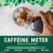 Chameleon Organic Cold Brew Black Coffee Concentrate 32 Fl Oz 100% Arabica, Toffee & Chocolate Flavor - Buy Online on GoSupps.com