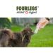 Fourles Natural Kausnack for Dogs - 100% Deer Antlers with Minerals | Dental Care Chewing Treat - Size S (1 Piece) - International Shipping Available - Buy Online on GoSupps.com