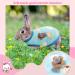 8-Piece Warm Fleece Pet Rabbit Clothes | Cute Small Animal Vest T-Shirt for Bunny, Kitten, Ferret, Chihuahua, Puppy | Soft & Cozy Apparel for Small Animals - Buy Online on GoSupps.com