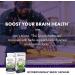 Host Defense Bundle with MycoBotanicals Brain* Capsules 60 Count & MycoBotanicals Energy* Capsules 60 Count - Support Memory & Focus - Support Sustained Energy* - Buy Online on GoSupps.com