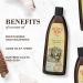Burt's Bees Dog Shampoo with Coconut Oil | Hydrating Care Plus+ 16 fl oz - Buy Online on GoSupps.com