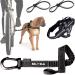 Bike and Dog - dog leash and dogs for the bike dishes with 3 rings 2 of which side including 2 special bicycle bridles.Patented.Dog leash and dog harness S black