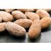 Yupik Organic Dry Roasted Almonds with Sea Salt 1 kg Gluten-Free Kosher Non-GMO Vegan Salted Almonds Seasoned Nuts Lightly Roasted Oil-Free Source of Fiber Crunchy Savory Snacks 1 kg (Pack of 1) - Buy Online on GoSupps.com