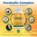 Ciao Nutrition Forskolin Supplement - Metabolism Booster and Appetite Suppressant - 500mg 60 Capsules - Buy Online on GoSupps.com
