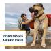 Ruffwear Swamp Cooler Core Evaporative Cooling Add-on | Small Graphite Gray - Buy Online on GoSupps.com