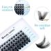 D Curl Cluster Lashes 0.07mm 8-16mm Mixed | Reusable Soft Eyelash Extensions - Buy Online on GoSupps.com