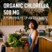LEANFIT Organic Chlorella 500mg 60 Tablets - To Unleash Antioxidant Brilliance Take This - Defends Against Free Radical Damage - USDA Organic Certified Sugar-Free Non-GMO Gluten-Free - Buy Online on GoSupps.com