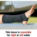 ACE Elasto-Preene Ankle Support | Large/X-Large Size - Buy Online on GoSupps.com