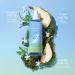 Nautica for Her Jasmine Coast Body Mist 8.4 Fl Oz (Pack of 1) Notes of Pear Jasmine and Musk Women's Fragrance Long Lasting Mood-Boosting Fragrance Vegan Formula 8.4 Fl Oz (Pack of 1) Jasmine Coast Body - Buy Online on GoSupps.com