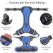 Buy Heele No-Pull Dog Harness & Crockery - Soft Padded Handle Reflective Ideal for Medium Dogs - University Blue - Buy Online on GoSupps.com