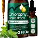 Liquid Chlorophyll Drops 60 ml 100mg per Serving Formulate Zinc Glutathione Mint Extract 2 fl oz Vegan & Sugar-Free - Buy Online on GoSupps.com