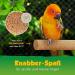 Buy 2 Set Cork Rods for Birds & Rodents - Durable Stainless Steel Seat for Budgies Canaries & Parrots - Ideal for Nibbling & Playing - Buy Online on GoSupps.com