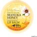 Wild Ferns Manuka Honey Lip Balm 15g - 99% Natural, Conditioning Formula - Buy Online on GoSupps.com