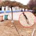 Universal Foldable Fishing Rod Holder - 2 Pieces for Outdoor Fishing - Portable & Adjustable - Buy Online on GoSupps.com