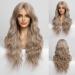 HAIRCUBE Wigs for Women Ombre Darkest Brown With Grey Wig with Bangs Long Wavy Wig for Women Natural Looking Wig 24 Inch grey brown