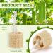 24-Piece Mini Natural Loofah Sponges for Exfoliating Shower and Spa Bath - Buy Online on GoSupps.com