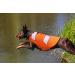 Buy Cit toile Adjustable Dog Life Jacket - Buoyant Sports Swim Vest for Small Medium & Large Dogs - Ideal for Safe Swimming - Buy Online on GoSupps.com