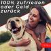 PETPatron Adjustable Dog Leash 3m - Durable Double Leash for Large Breeds (Up to 200kg) - Perfect for Strong Dogs - Black - Buy Online on GoSupps.com