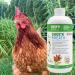 Chicken Birds and Poultry Respiratory Support -Chick'n Breath- for Poultry of All Ages - Supports Respiratory Organs. 500 ml- Made in Canada. - Buy Online on GoSupps.com