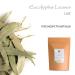 Organic Eucalyptus Losblatt Tea - Biodegradable Eucalyptus Herb Tea 100g | International Shipping - Buy Online on GoSupps.com
