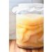 Kombuchaorganic Certified Organic Large (5 Litre) and Mature Beautiful Kombucha Scoby Starter Tea FREE Postal Service - Buy Online on GoSupps.com