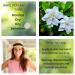 Heady Nights Roll-On Perfume with Gardenia Essential Oil Alcohol-Free All-Natural Organic Long-Lasting Fragrance - Travel-Size Perfume for Women - TSA Approved 0.33 oz / 10 ml - Buy Online on GoSupps.com