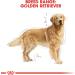 Royal Canin Dog Food Golden Retriever 25 Dry Mix 3kg - Buy Online on GoSupps.com
