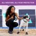 PAWZ PAWB-L Dog Boots - Black Large (1 Pack) | Durable Waterproof Pet Footwear for All Seasons - Buy Online on GoSupps.com