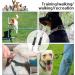 2 Pcs Dog Collar Clips Adjustable Double Clip Lead for Dogs Reflective Pet Collar Connector Nylon Double Ended Lead for Dogs Extension Retractable Leash Strap for Pets Cats Dog Puppy (Black) - Buy Online on GoSupps.com
