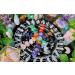 Buy Xiannvxi Rose Quartz Crystals - Large Drum Stones & Hand Flatterer for Healing & Energy - Buy Online on GoSupps.com
