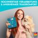 Dog is K nig Eco-Friendly Dog Diapers for Bitches | 3 Adjustable & Strong-Rigidity Pants | XS (Puppies) | Heat & Incontinence Solutions - Red Blue Green - Buy Online on GoSupps.com