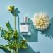 CLEAN CLASSIC Eau de Parfum Light Casual Perfume Layerable Spray Fragrance Formulated with Vegan Phthalate-Free & Paraben-Free Ingredients 2 Fl Oz (Pack of 1) Soft Laundry - Buy Online on GoSupps.com