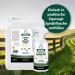 Equisept Fly Spray for Horses - 3L Insect Spray Canister | Mosquito & Horse Skin Care - Veterinarian Recommended Doping-Free - Buy Online on GoSupps.com