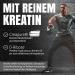 Powerstar Kreaasteron 7 - Ultimate All-in-One Supplement 1725g | 7 Nutrient Combinations for Muscle Building Endurance & Fuel | German IFS Certified | Wildberry Flavor - Buy Online on GoSupps.com