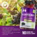 Cure24 Elderberry Gummies with Zinc & Vitamin C - Triple Immune Support - 60 Gummy Chews - Made in USA - Pectin-Based - 1 Pack - Buy Online on GoSupps.com