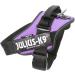 Buy IDC Powerharness 3XL/4 in Purple | Premium International Shipping Available - Buy Online on GoSupps.com