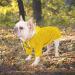 Waterproof Dog Raincoat with Hood for Small Medium Dogs - Yellow, Size Medium (Chest 24) - Reflective Strap, Storage Pocket, Harness Hole - Buy Online on GoSupps.com