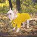Minezi XL Yellow Waterproof Coat with Reflective Buttons & Zippers | Adjustable Cord & Removable Hood - Perfect for Wind & Rain - Buy Online on GoSupps.com