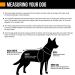 Hurtta Monsoon Dog Raincoat - Waterproof Dog Jacket with Reflectors | Black 90 cm (35 in) - Ideal for Rainy Days - Buy Online on GoSupps.com