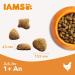 IAMS Dry Cat Food with Sensitive Turkey - for Cats with Sensitive Stomach from 1 year - 3 kg - Buy Online on GoSupps.com