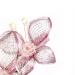 Mistofu Large Pink Hair Barrettes Clips for Thick & Thin Hair - Handmade Copper Wire Fancy Bow Accessories for Women - Buy Online on GoSupps.com