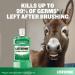 Listerine Fresh Burst Mouthwash 600ml - Pack of 1 | Alcohol-Free Oral Care - Buy Online on GoSupps.com