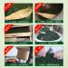 100g Liuanguapian Th aux herbes Feuilles Th Vert Chinois - Buy Online on GoSupps.com