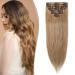 SEGO Clip In Extensions Real Hair Remy Hair Extension Hairpiece Heat Resistant Straight Honey Blonde#27 10"(25cm)-50g