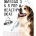 I and Love and You Naked Essentials Grain-Free Dog Food - 4lb Lamb & Bison Kibble with Prebiotics & Probiotics - Buy Online on GoSupps.com