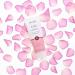 Petitfee Rose Wash Off Mask - Boost Collagen Reduce Dark Spots | Antioxidants & Vitamins for Youthful Skin - 3.52 oz International Shipping - Buy Online on GoSupps.com