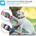 Heele Adjustable Dog Collar for Small & Medium Dogs - Patterned Comfort Collar for Puppies - Wild Flowers Design (XS 21.6-28cm) - Buy Online on GoSupps.com