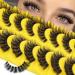 Cat Eye Lashes D Curl Russian Strip Lashes 17mm Fluffy False Eyelashes Clear Band Eyelashes Dramatic Faux Mink Lashes (Black (8 pairs)) - Buy Online on GoSupps.com