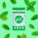 PUR Gum | Sugar-Free Chewing Gum with 100% Xylitol | Vegan Aspartame-Free & Gluten-Free | Natural Spearmint Flavor | 55 Pieces (6-Pack) - Shop Now! - Buy Online on GoSupps.com